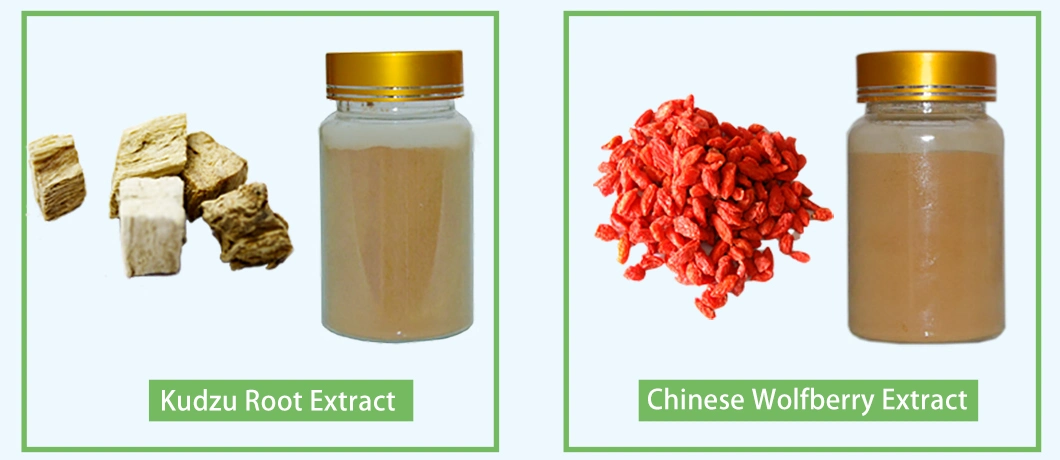 Carrot Extract Beta Carotenoids Food Grade Powder Carotene