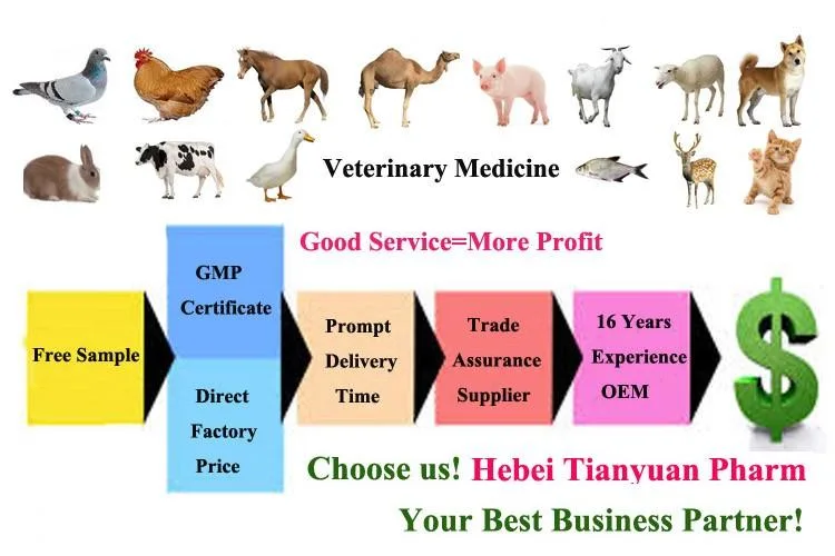Vitamin C Injection 10% Nutritional Medicine Veterinary Drugs for Animal Livestock Cattle Sheep Horse Pig Dog Cat