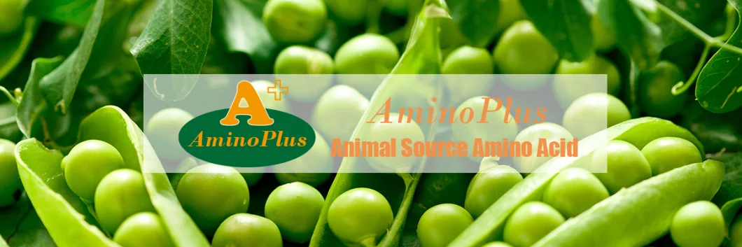 Aminoplus 100% Water Soluble Fertilizer Animal Source Amino Acid